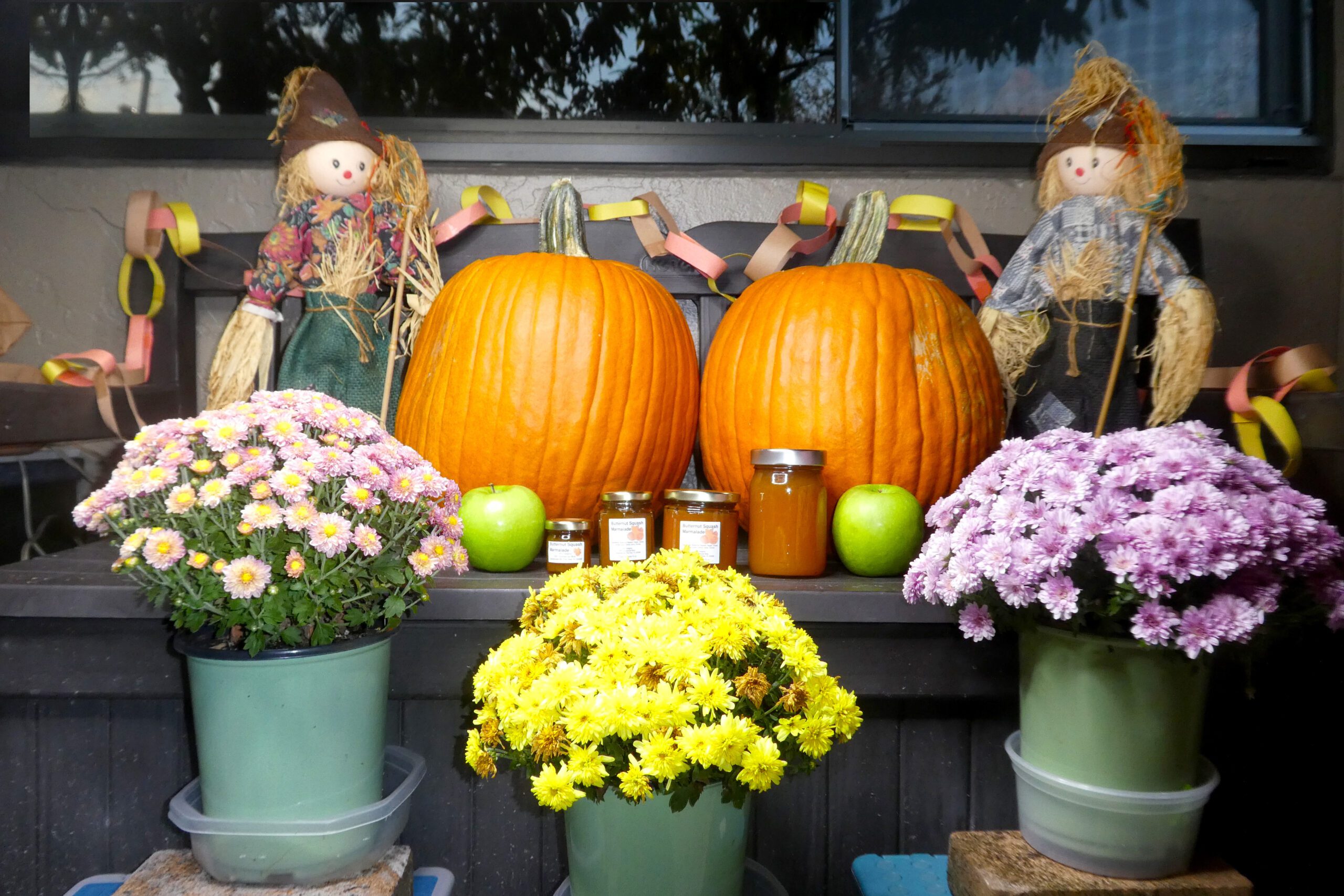 All size jars of Butternut Squash Marmalade set in a fall background, far shot
