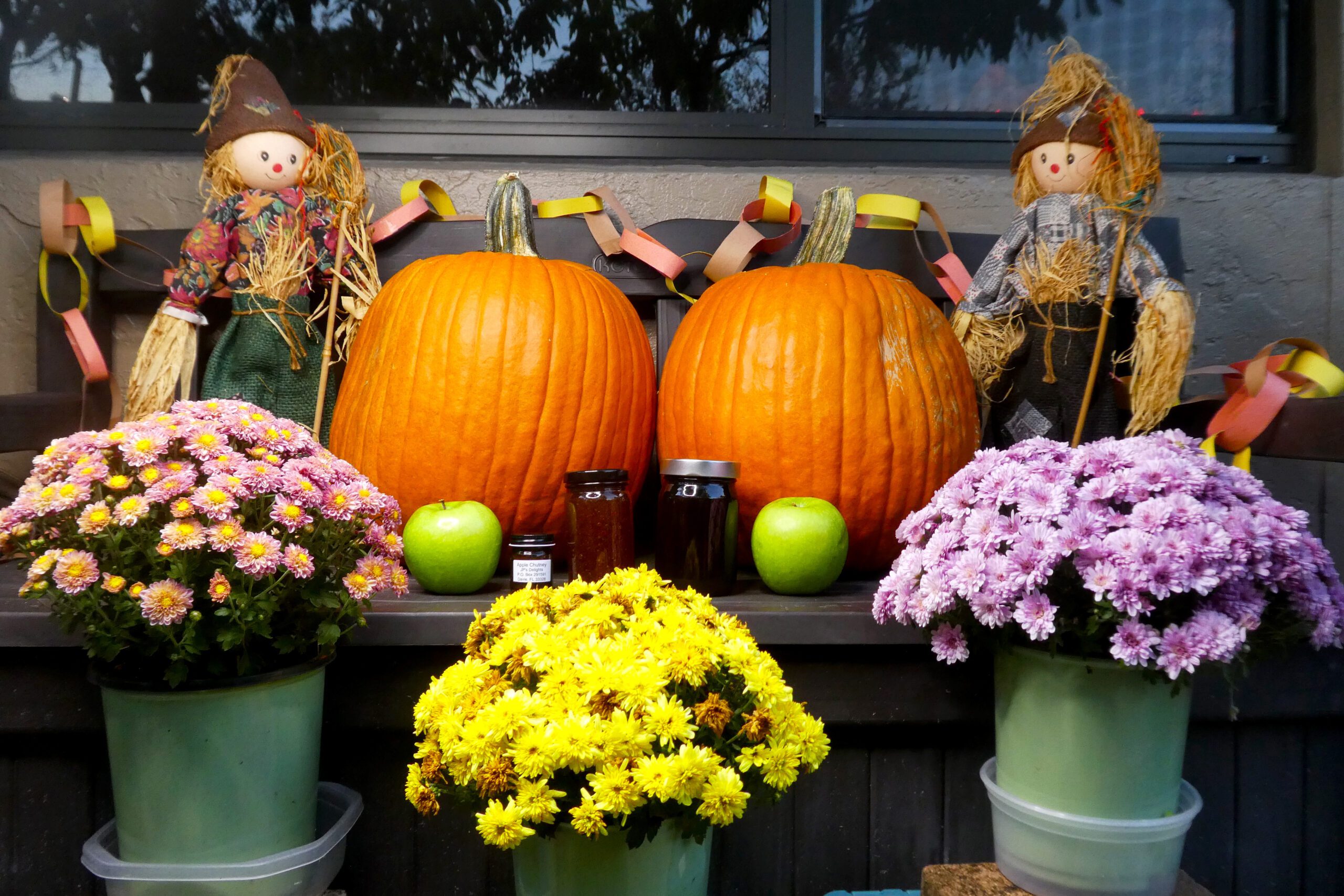 Fall scene of 3 apple chutney sizes far shot