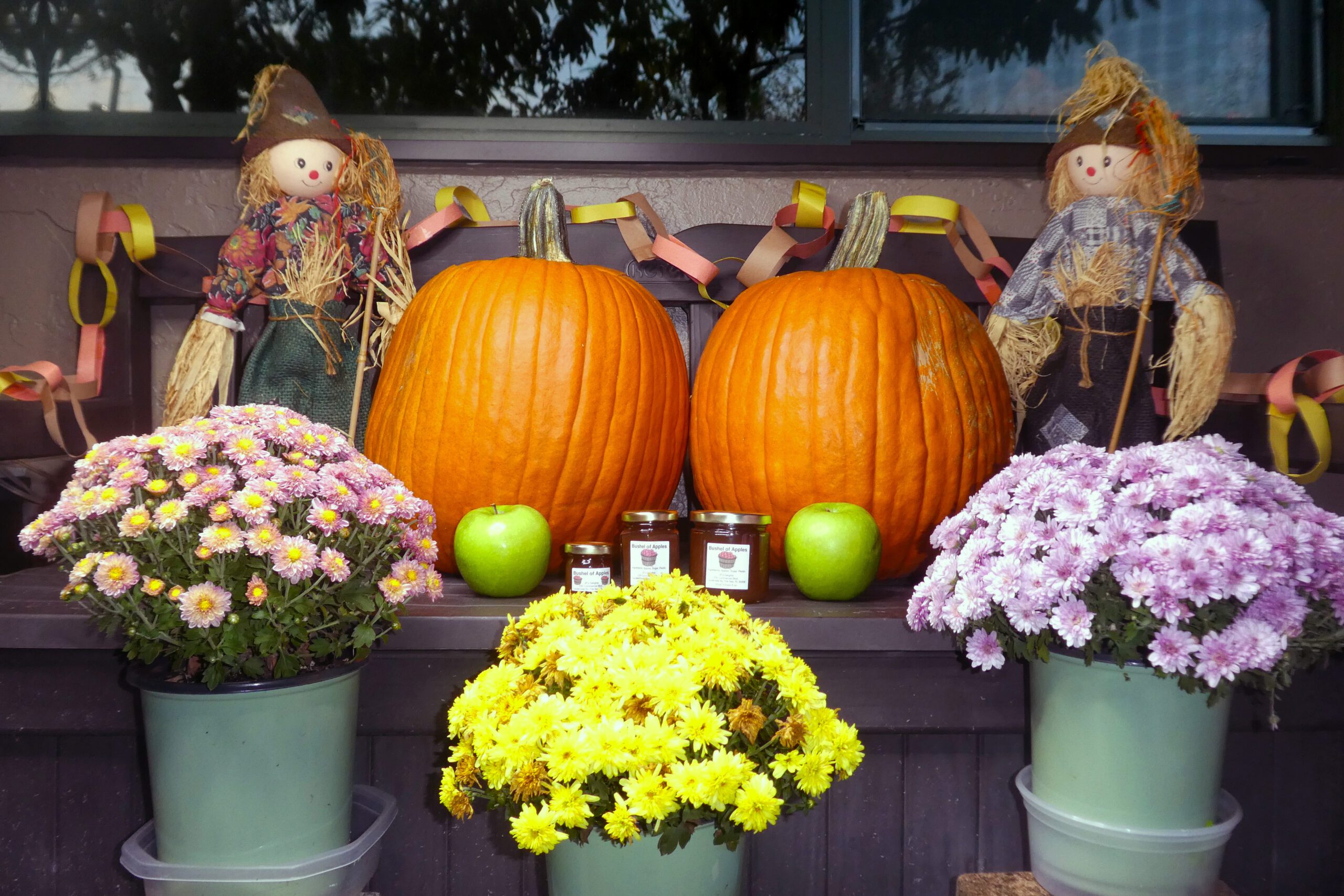 All size jars of Bushel of Apples Jelly set in a fall background, far shot